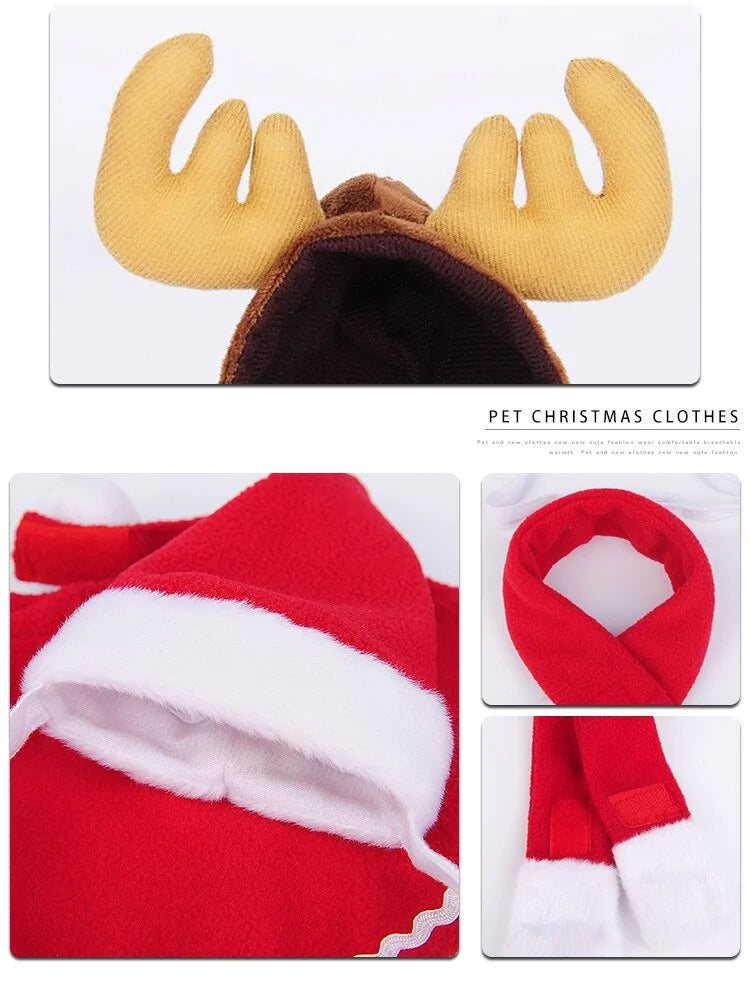 Winter woof Christmas collection
