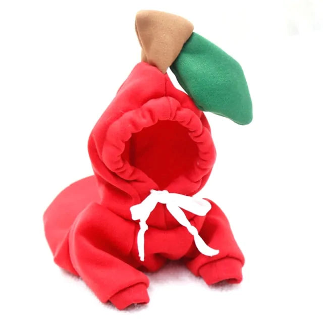 Cute Fruit Dog winter sweaters