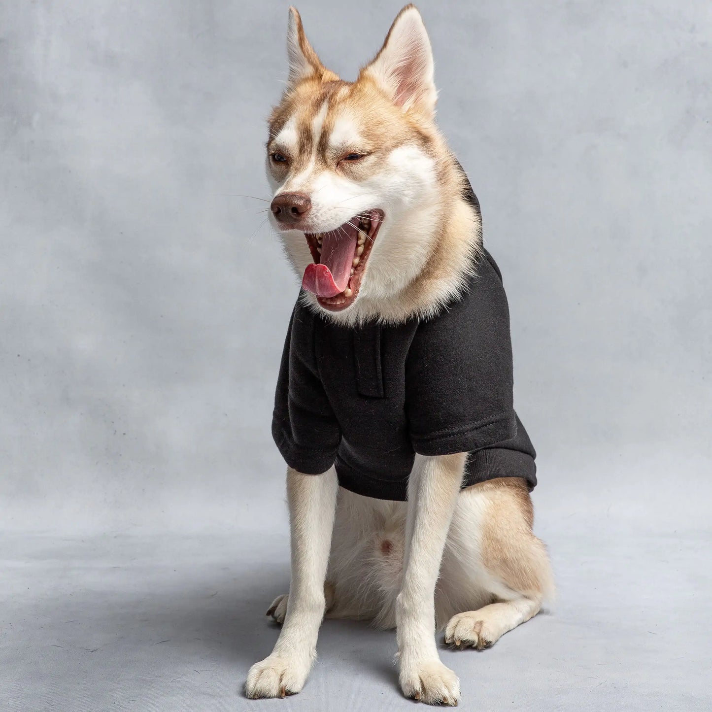 Hooded Dog U.S Army Fleece