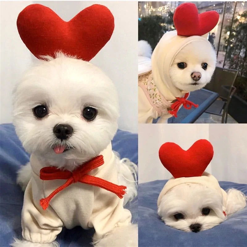 Cute Fruit Dog winter sweaters