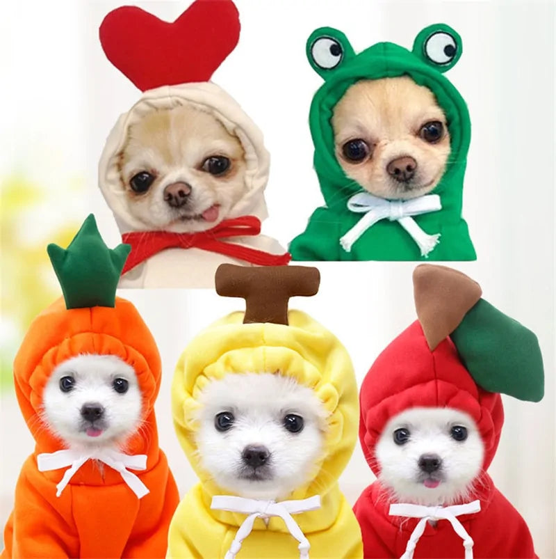Cute Fruit Dog winter sweaters