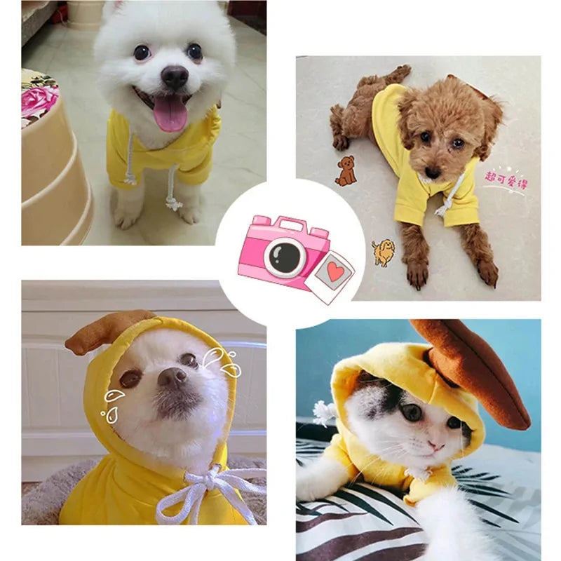Cute Fruit Dog winter sweaters