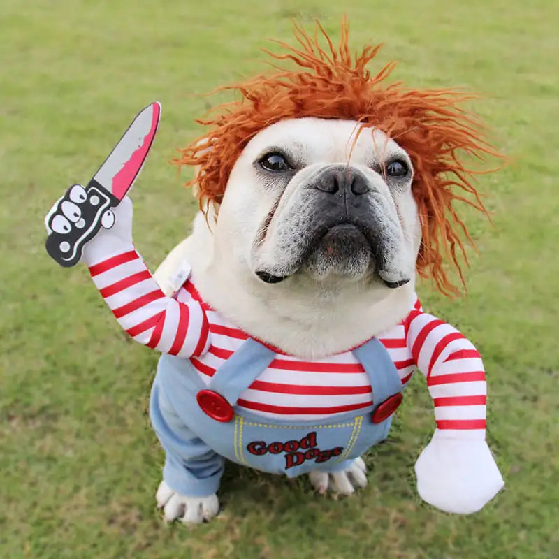 Chucky’s fur-iend