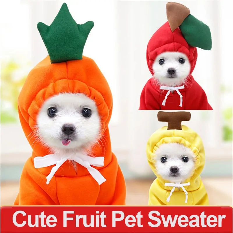 Cute Fruit Dog winter sweaters