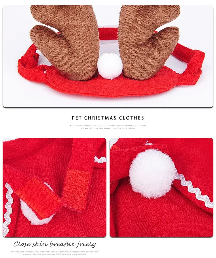 Winter woof Christmas collection