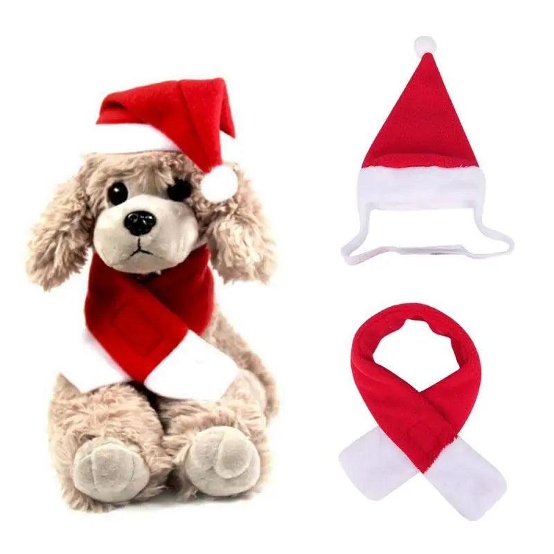 Winter woof Christmas collection