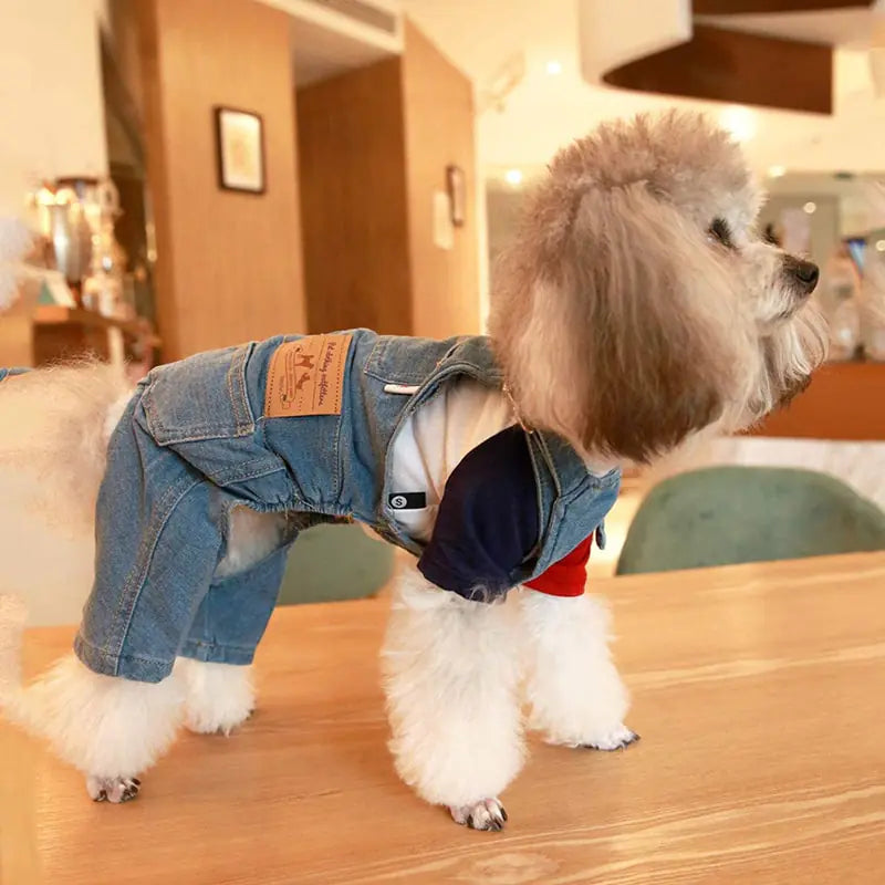 Denim Pawsuit