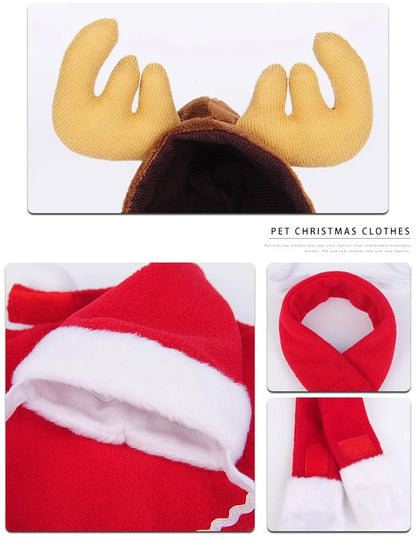 Winter woof Christmas collection