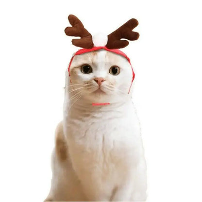 Winter woof Christmas collection