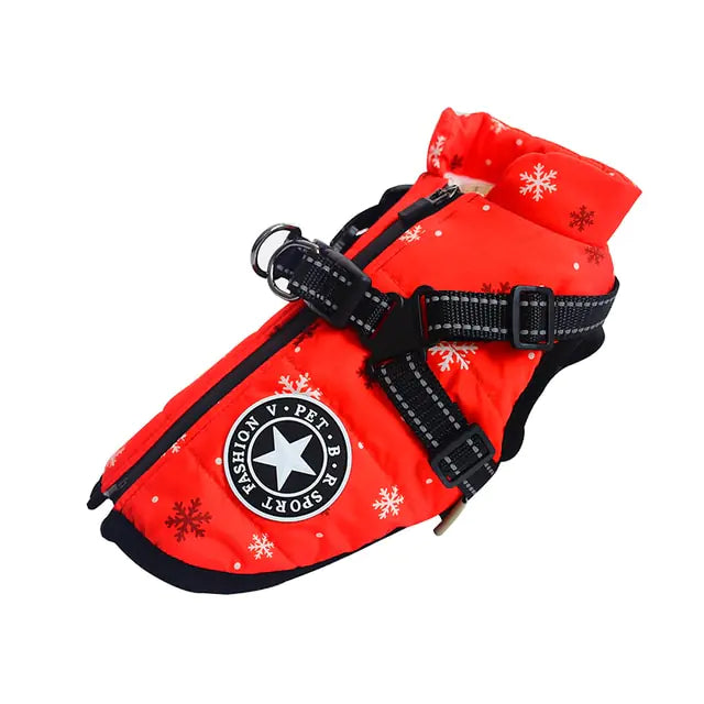 Winter Dog collection Clothes