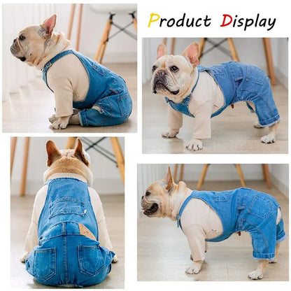 Denim Pawsuit