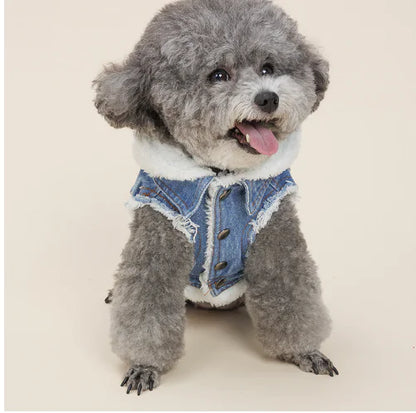 Paw-fect fur & Denim jacket