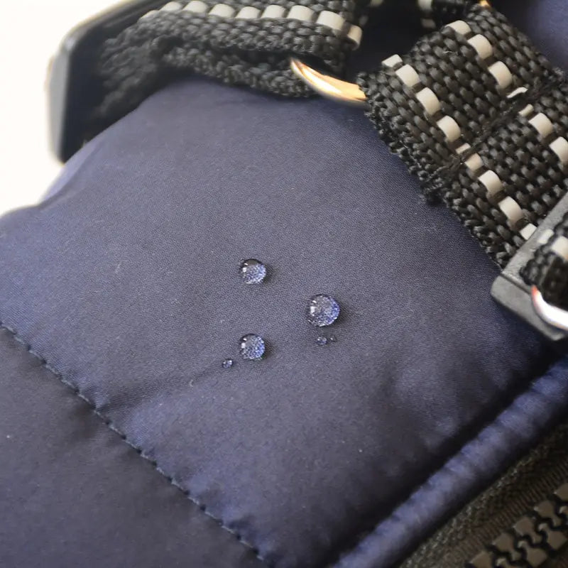 Winter Dog collection Clothes