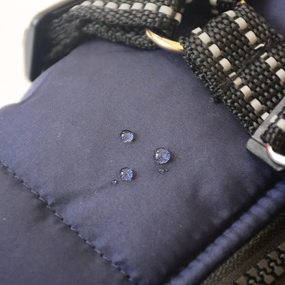 Winter Dog collection Clothes