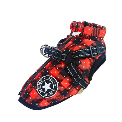 Winter Dog collection Clothes