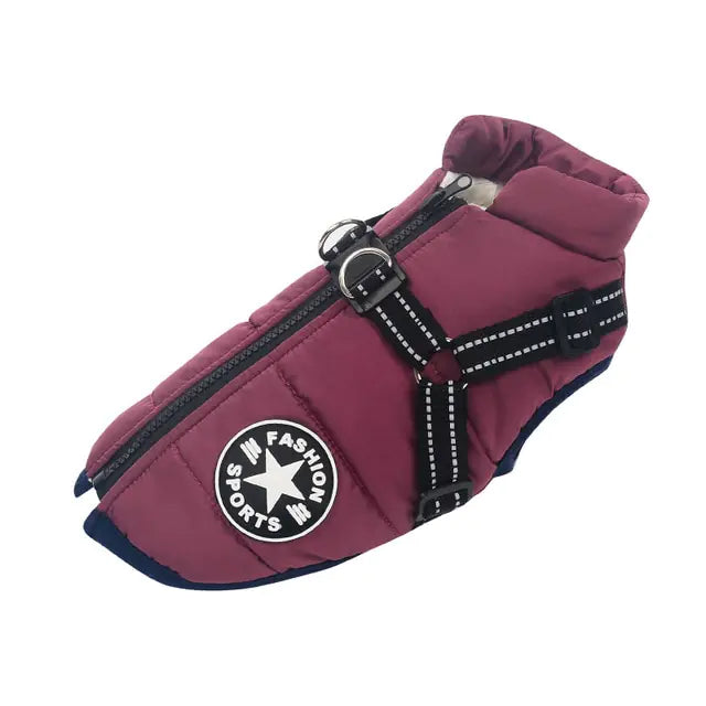 Winter Dog collection Clothes