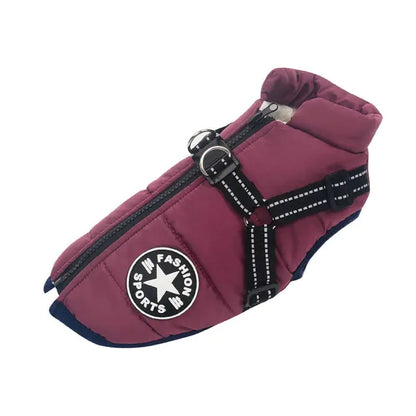 Winter Dog collection Clothes