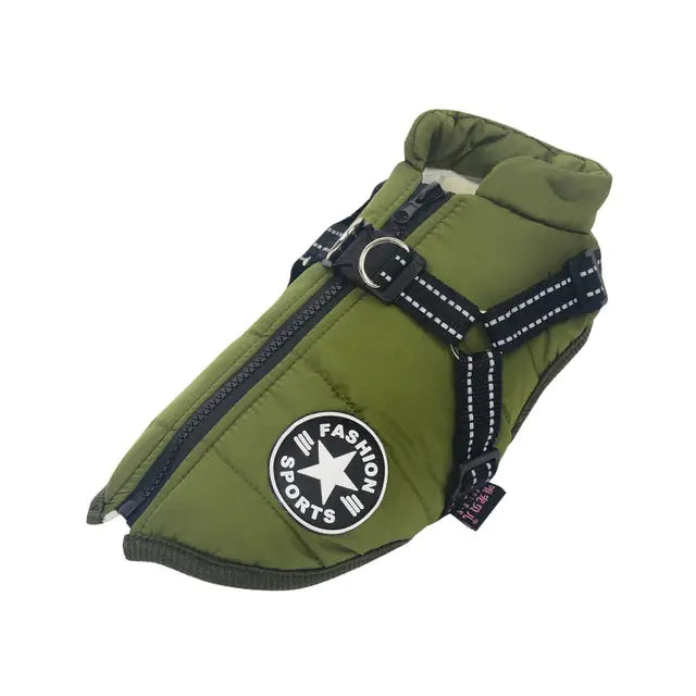 Winter Dog collection Clothes