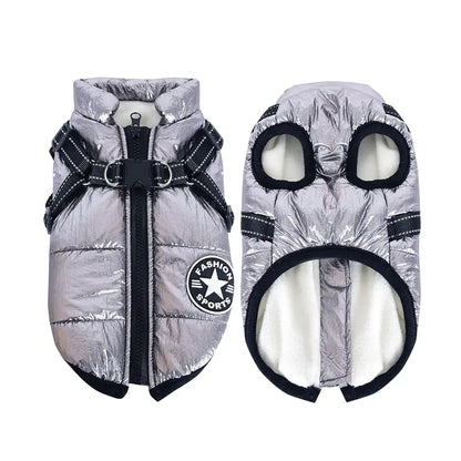 Winter Dog collection Clothes